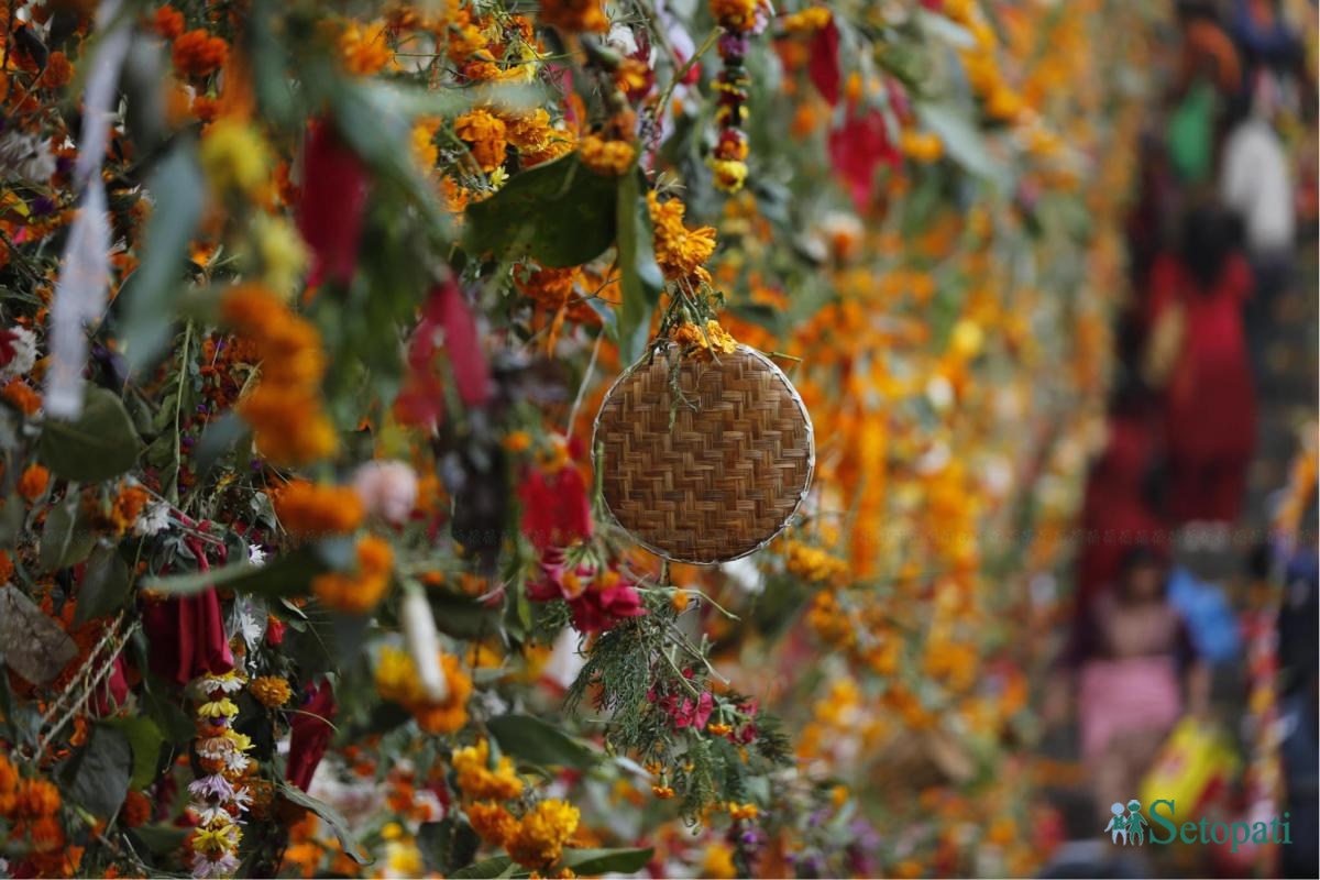 haribodhini at pashupati (9).jpeg